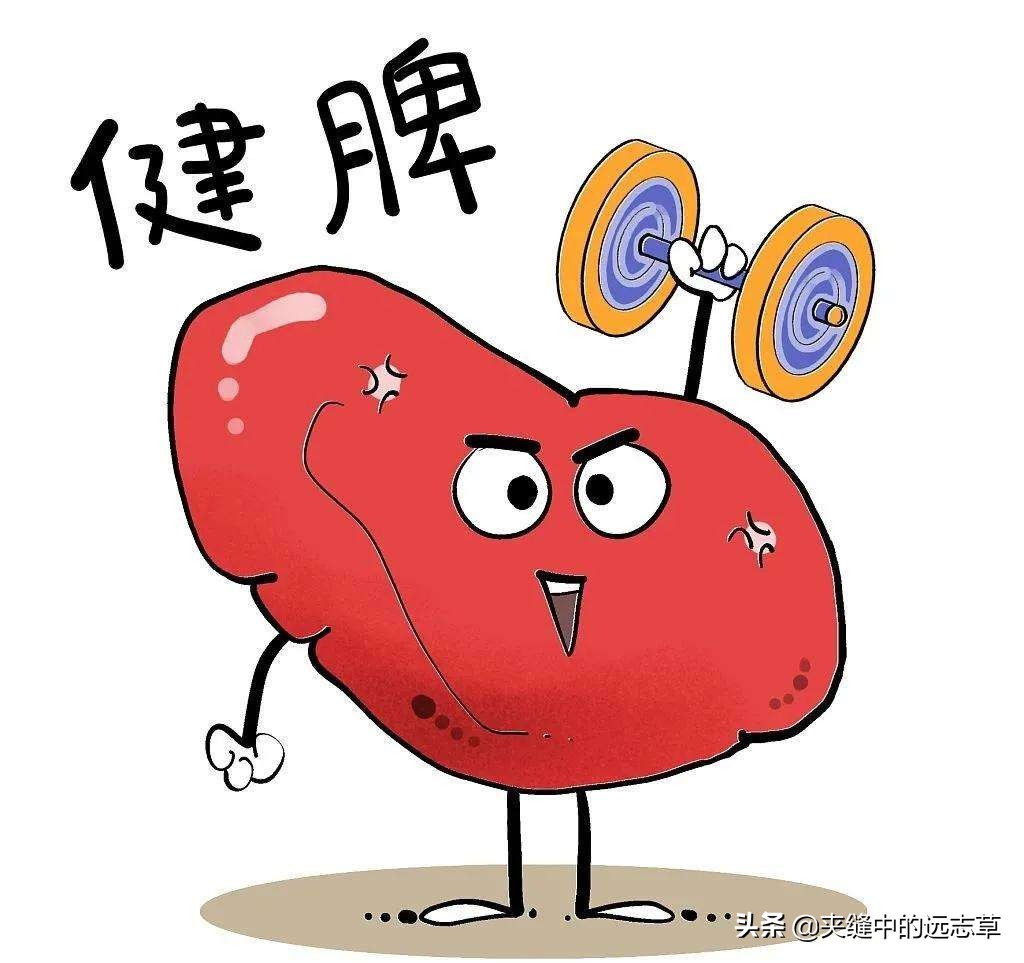 脂肪瘤一定要开刀吗？送你三味中药，一路攻、一路守、一路泻