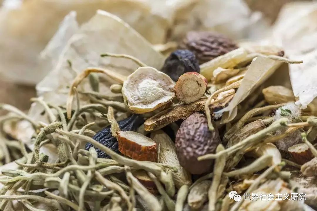 对新冠肺炎疫情发生后我国振兴中医药事业及产业的思考(图8)