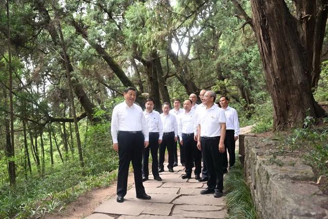 「学习小组」考察四川，习近平重点关注什么事？(图3)