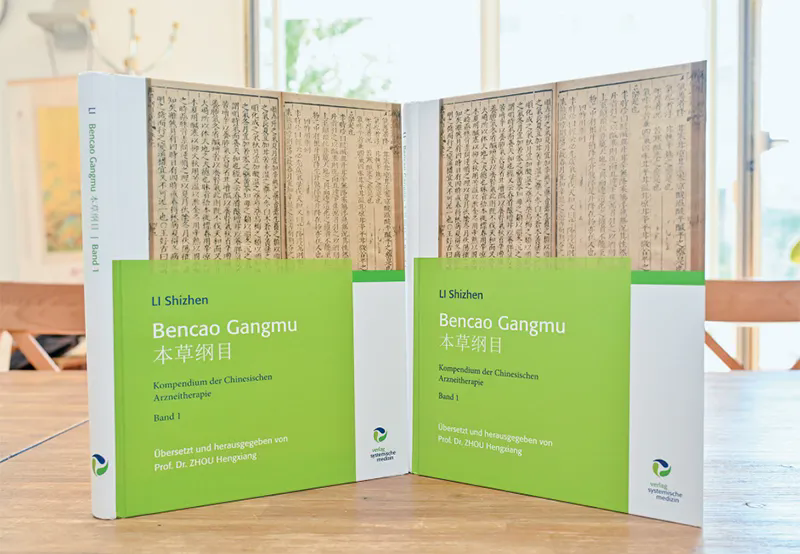 把中医药发扬光大