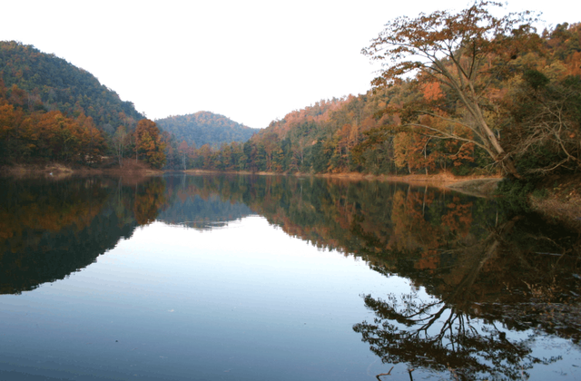乡愁追寻、地域书写和诗意表达——梁洪诗歌赏析兼谈诗集《一个饺子的距离》(图5) 乡愁追寻、地域书写和诗意表达——梁洪诗歌赏析兼谈诗集《一个饺子的距离》(图5)