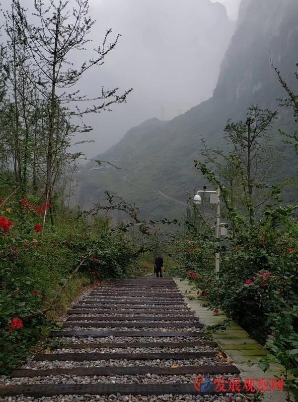 龙顺：生活随记三首(图5)