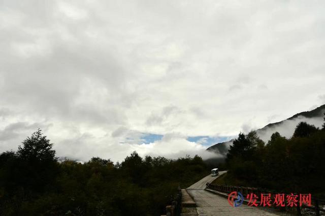 龙顺：生活随记三首(图7)