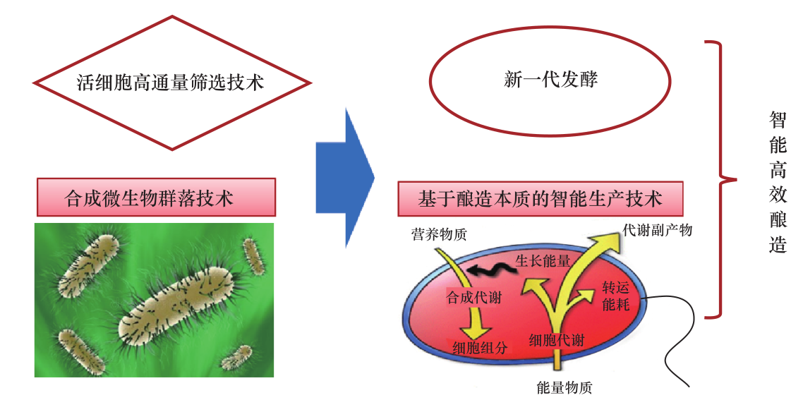 传统发酵食品产业技术转型升级战略研究(图6)